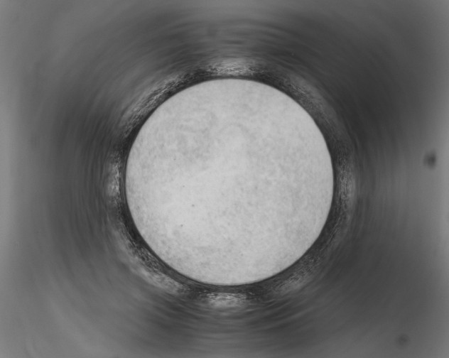 X0000115100549200912081301