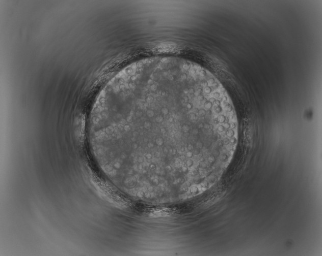 X0000115100550200912081301