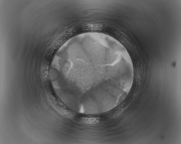 X0000115100553200912081301