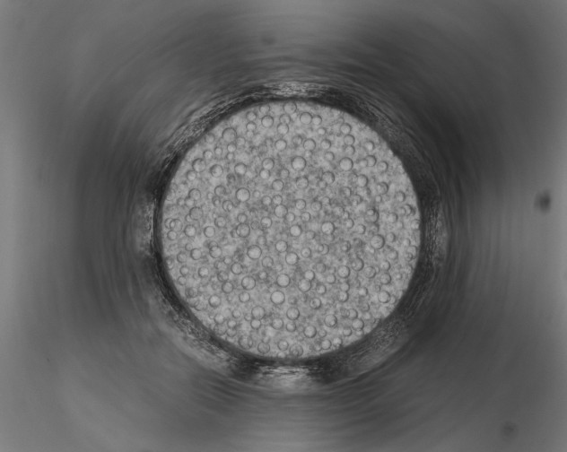 X0000115100554200912081301