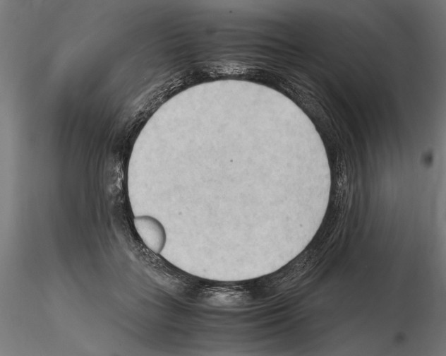 X0000115100555200912081301