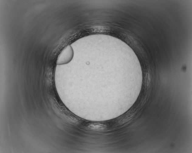 X0000115100557200912081301