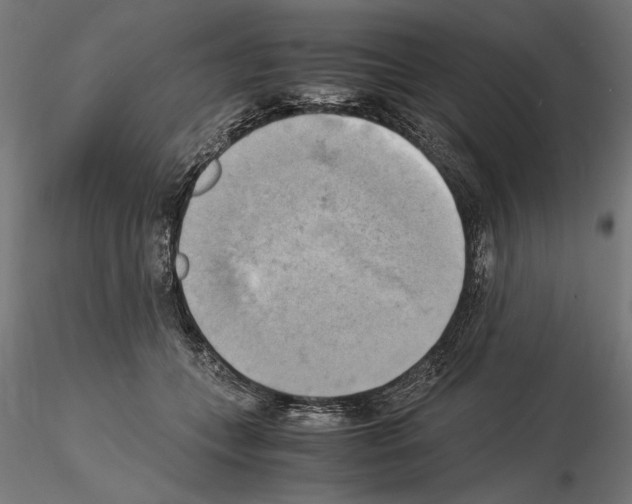 X0000115100559200912081301