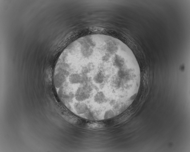 X0000115100561200912081301