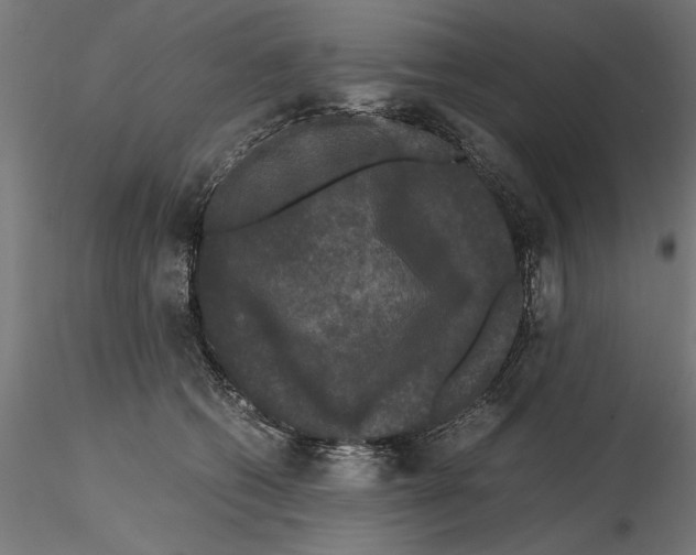 X0000115100562200912081301