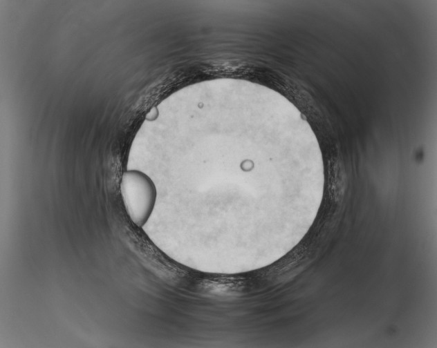 X0000115100563200912081301