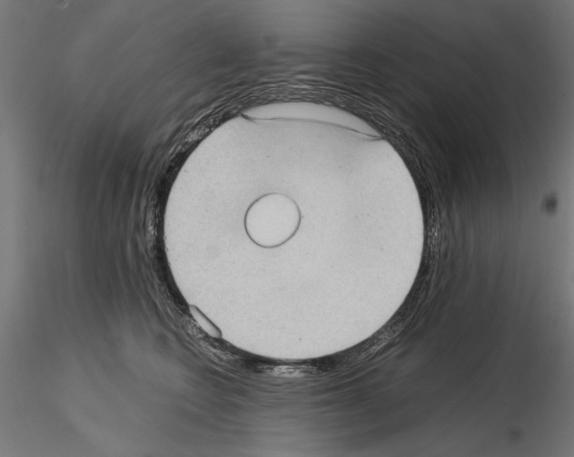 X0000115100566200912081301