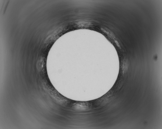 X0000115100567200912081301