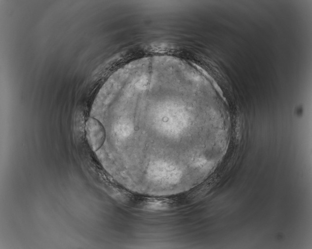 X0000115100569200912081301