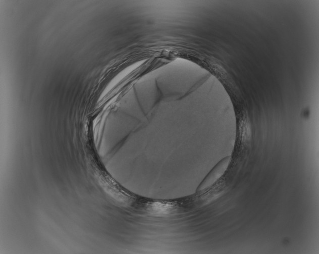 X0000115100570200912081301