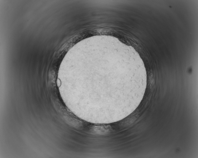 X0000115100571200912081301