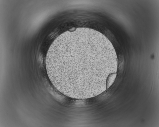 X0000115100574200912081301