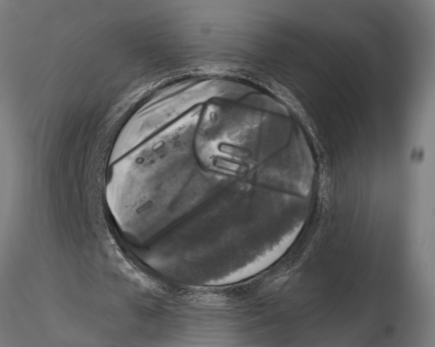 X0000115100577200912081301