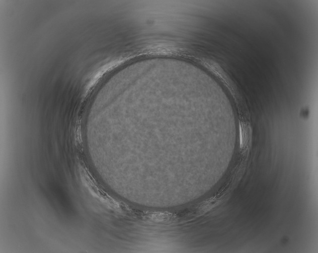 X0000115100579200912081301