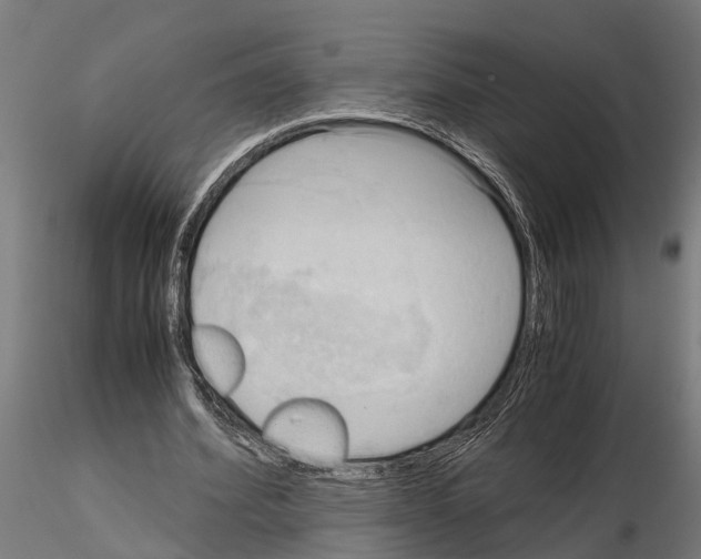 X0000115100580200912081301