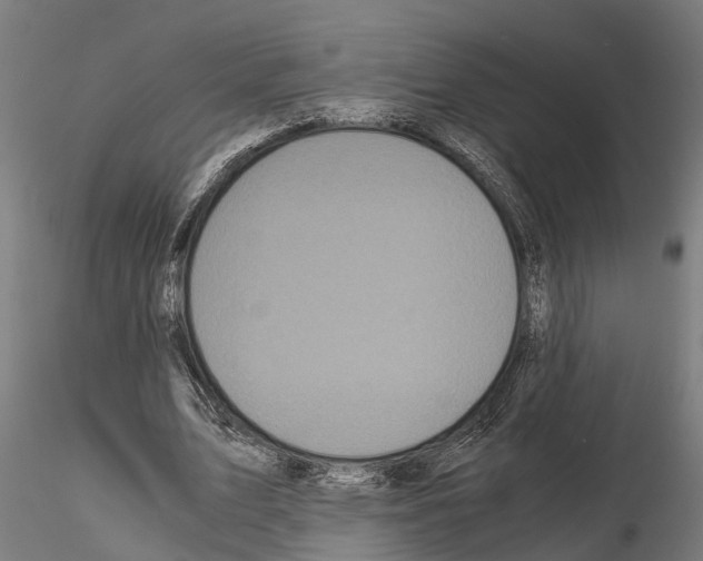 X0000115100583200912081301