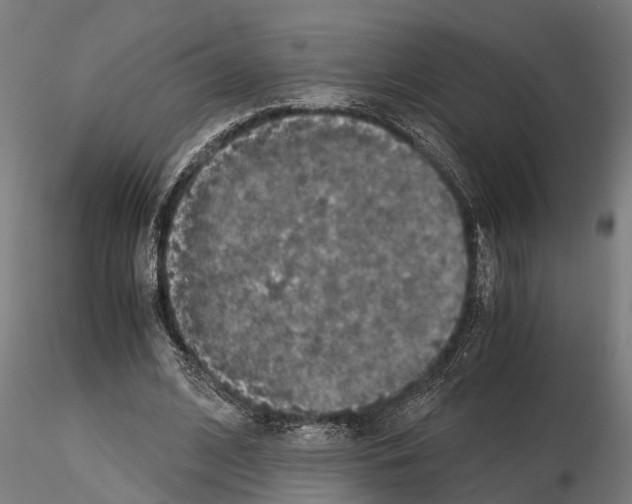 X0000115100584200912081301