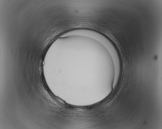 X0000115100585200912081301