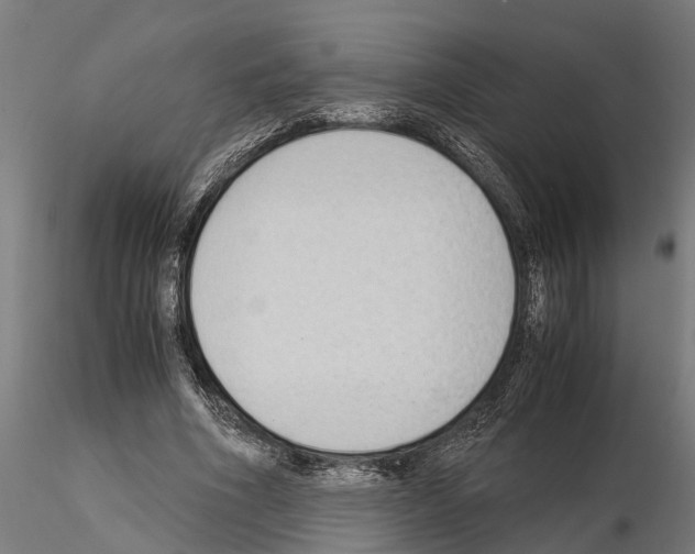 X0000115100586200912081301