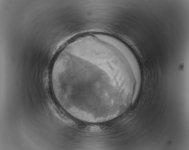 X0000115100588200912081301