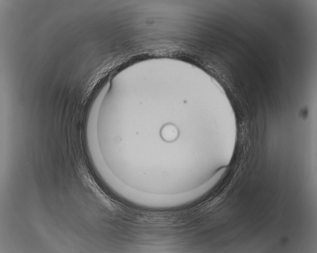 X0000115100589200912081301