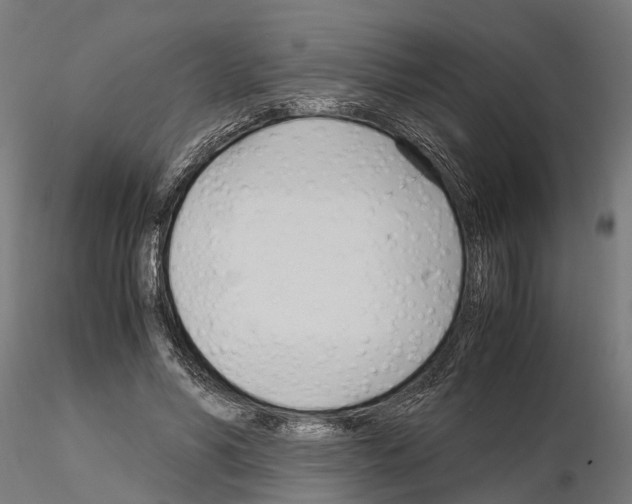 X0000115100590200912081301