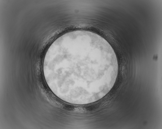 X0000115100591200912081301