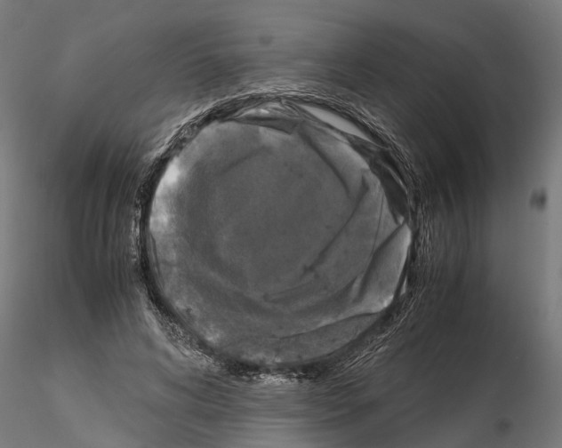 X0000115100592200912081301