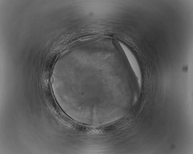 X0000115100593200912081301