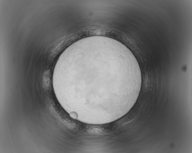 X0000115100594200912081301