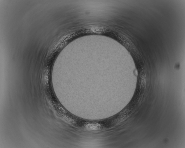 X0000115100595200912081300