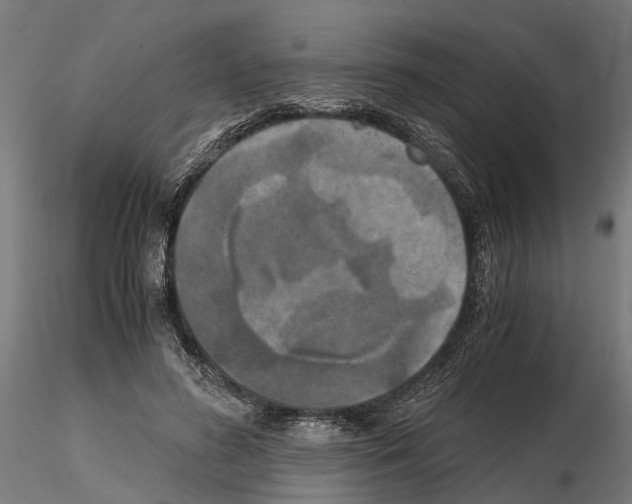 X0000115100596200912081300