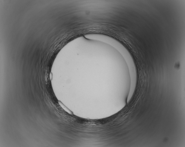 X0000115100597200912081300