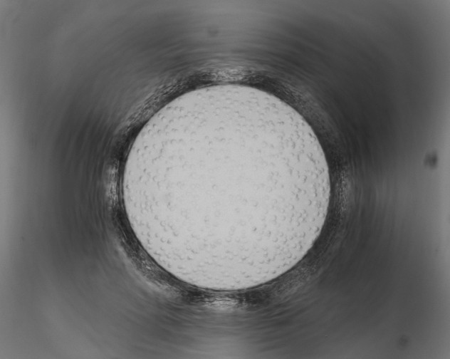 X0000115100598200912081300