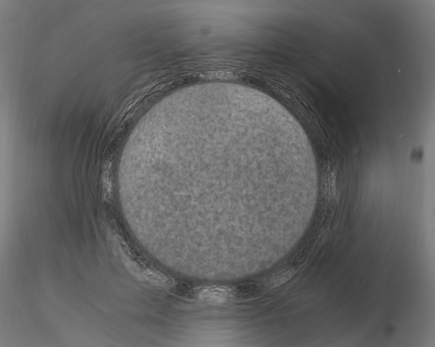 X0000115100599200912081300