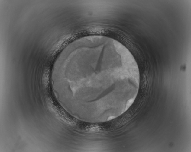 X0000115100600200912081300