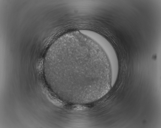 X0000115100601200912081300