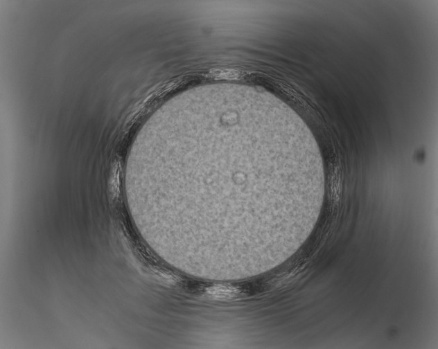 X0000115100603200912081300