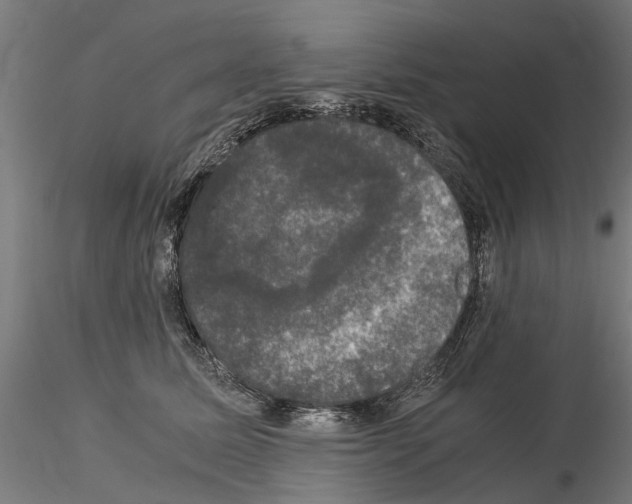 X0000115100611200912081300