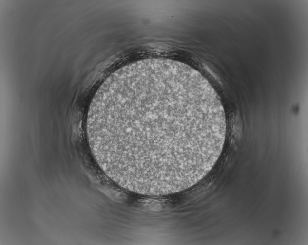 X0000115100615200912081300