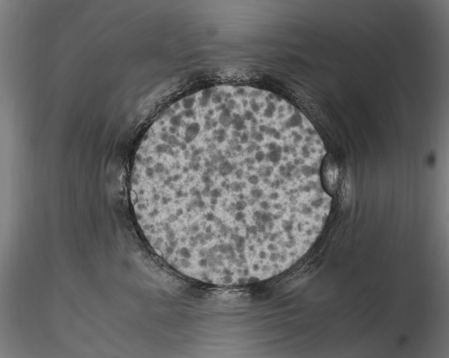 X0000115100619200912081300