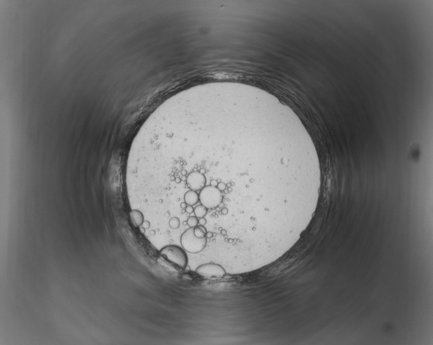 X0000115100620200912081300