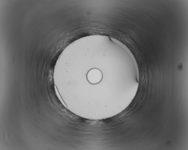 X0000115100621200912081300