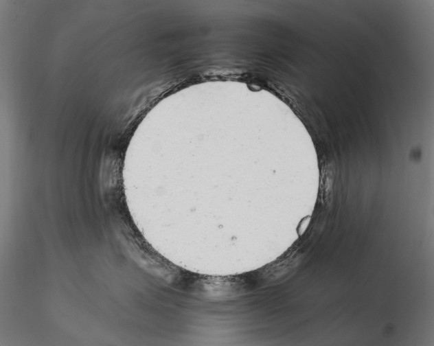 X0000115100623200912081300