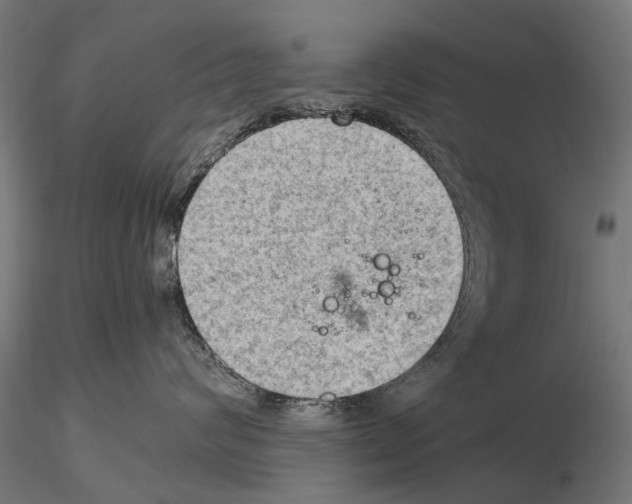 X0000115100624200912081300