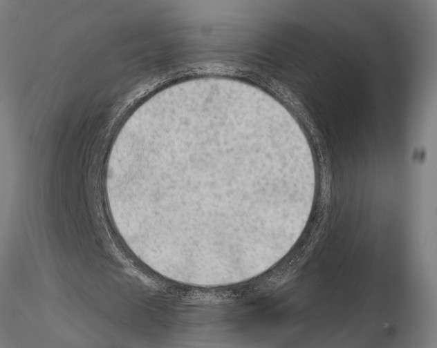 X0000115100625200912081259