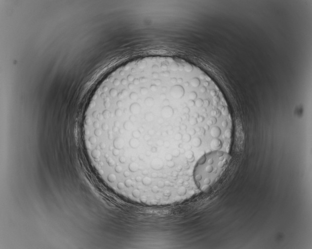 X0000115100626200912081259