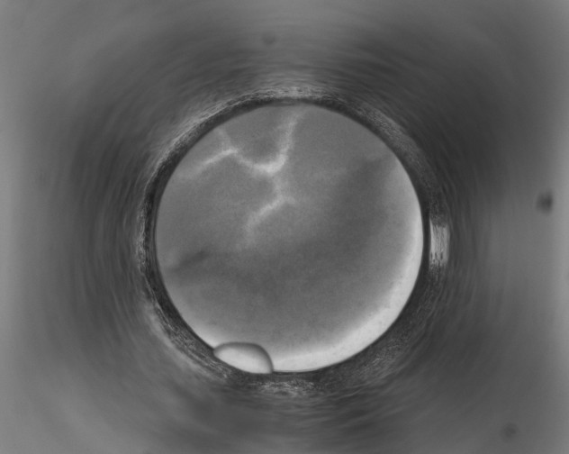 X0000115100627200912081259