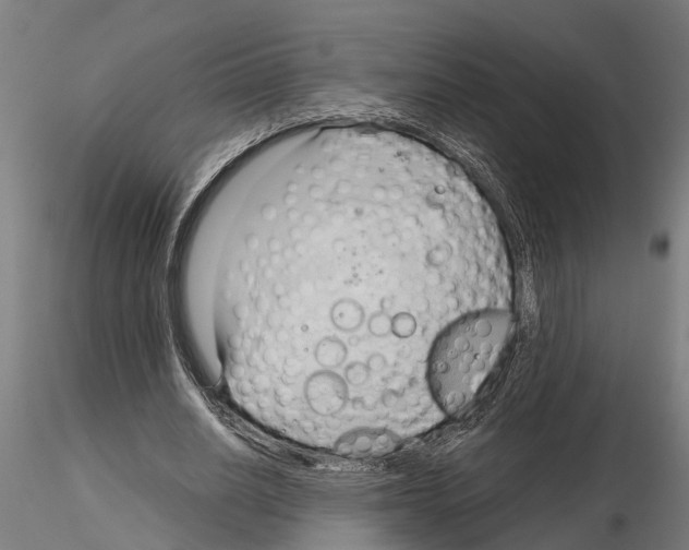 X0000115100630200912081300