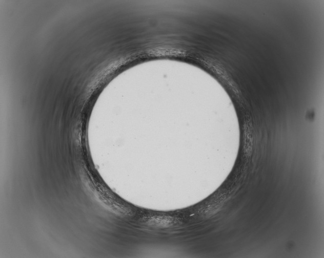 X0000115100631200912081300